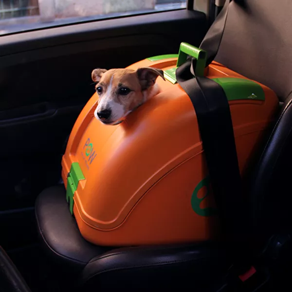 Pow sales dog carrier