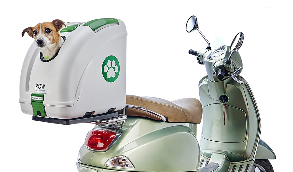 Pow pet carrier best sale
