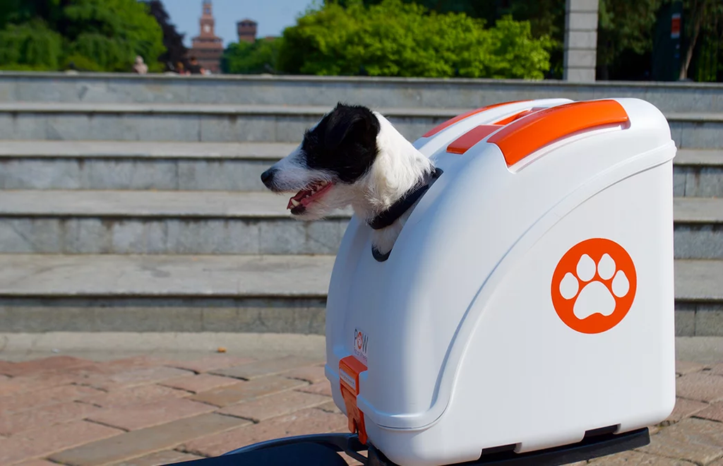 Pow clearance pet carrier